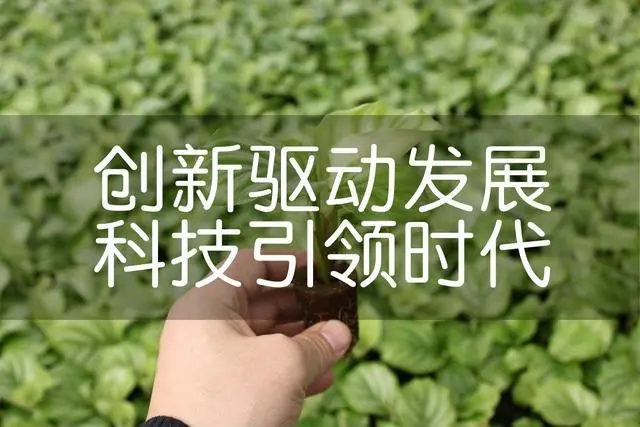 1653529281118122.jpg u=1064315222,1772182171&fm=253&fmt=auto&app=120&f=JPEG.webp.jpg