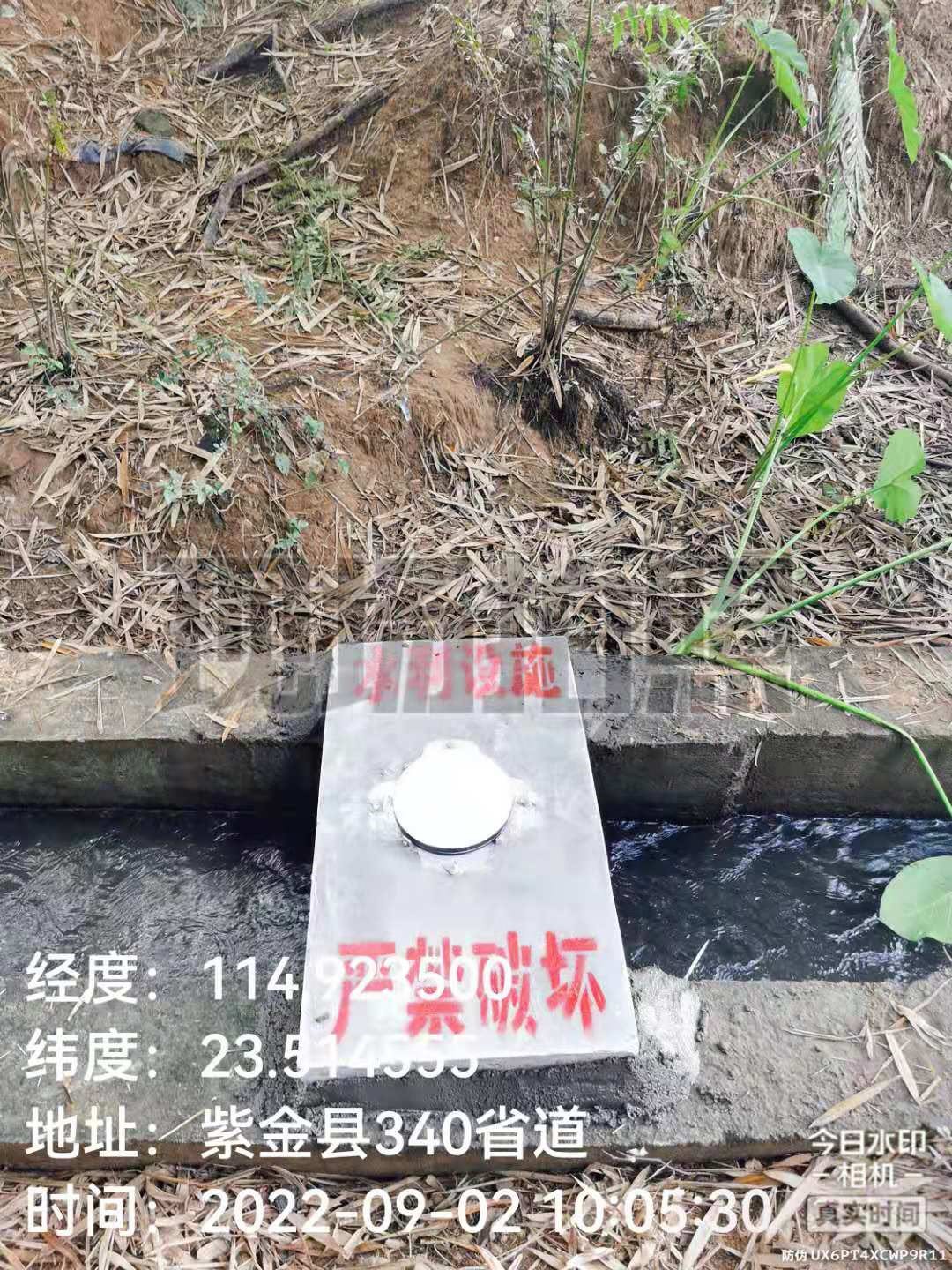 1686614497220021.jpg 1686614497220021.jpg